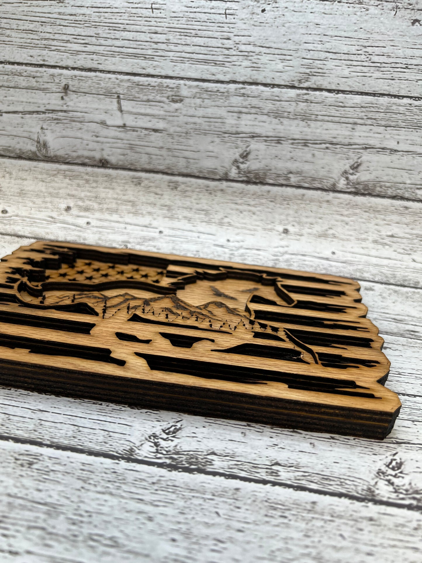 Horse With American Flag